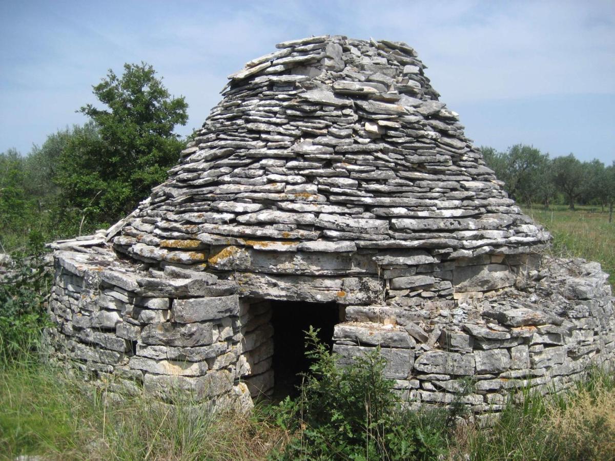 Villa Robinson Tkon Εξωτερικό φωτογραφία