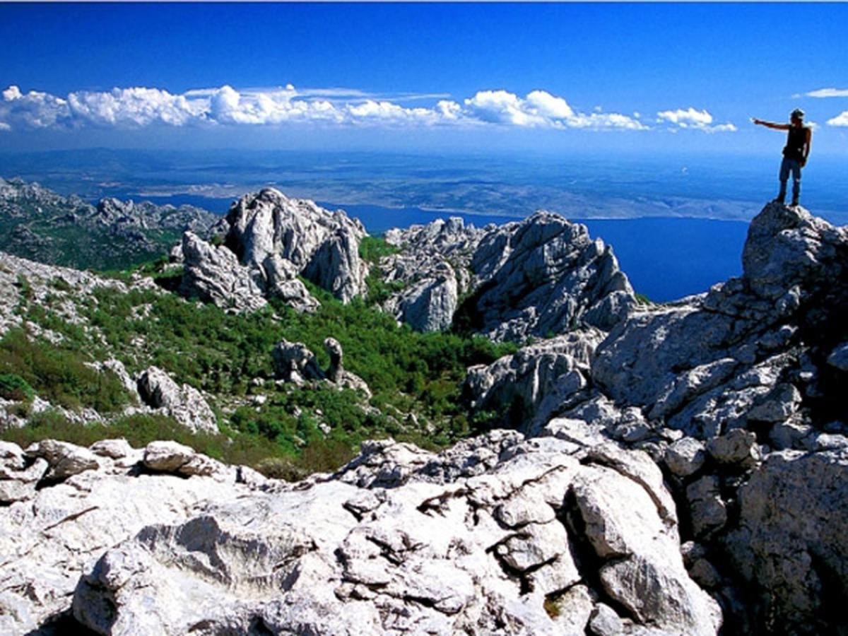 Villa Robinson Tkon Εξωτερικό φωτογραφία